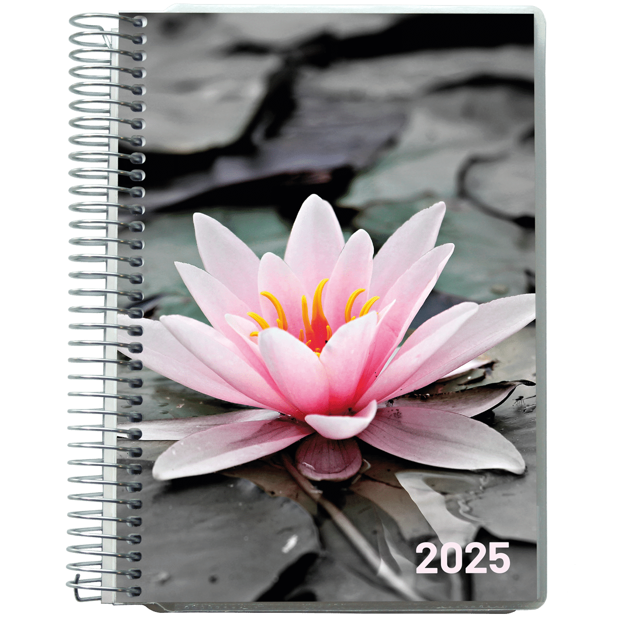 Dagkalender 2025 Åkande