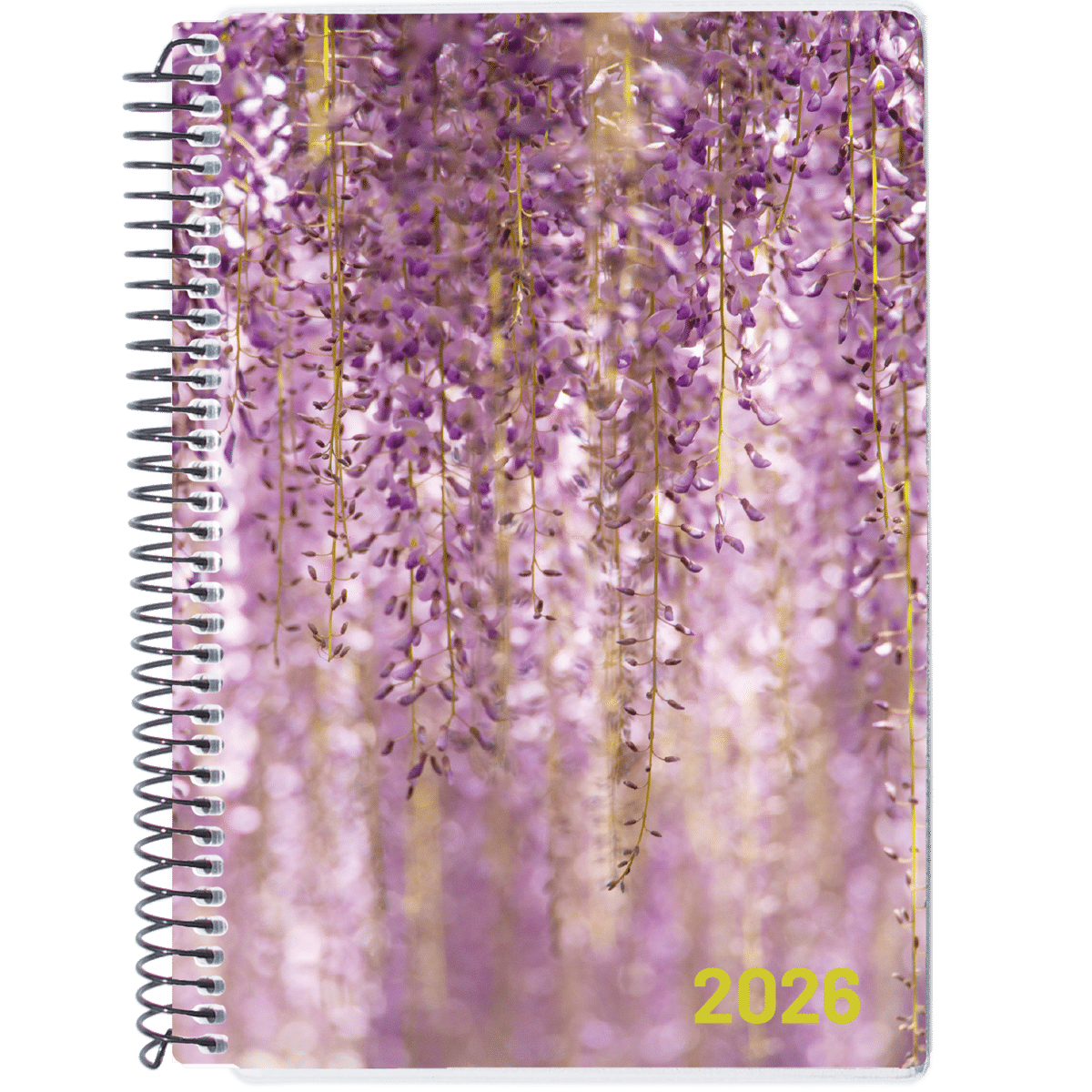 Dagkalender 2026 Blåregn